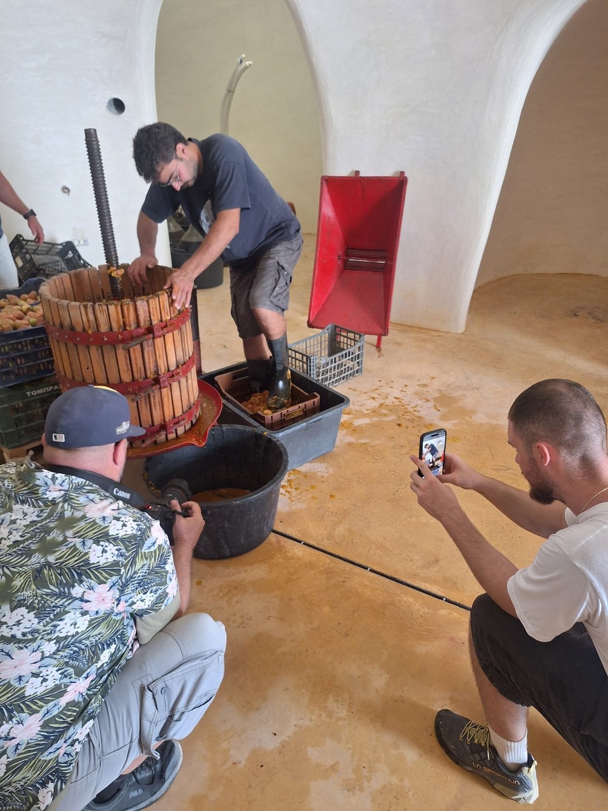 Pressing fruit on a traditional wooden press in a vaulted canava while the crew films, September 2026